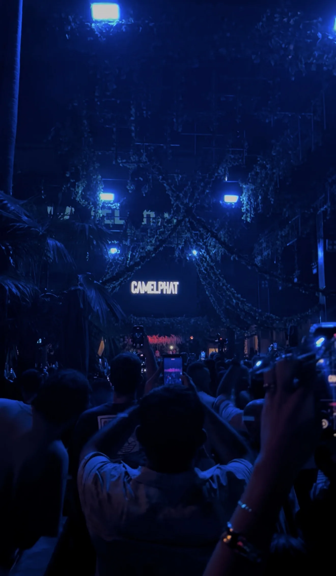 A CamelPhat night at Savaya, the crowd under the lights