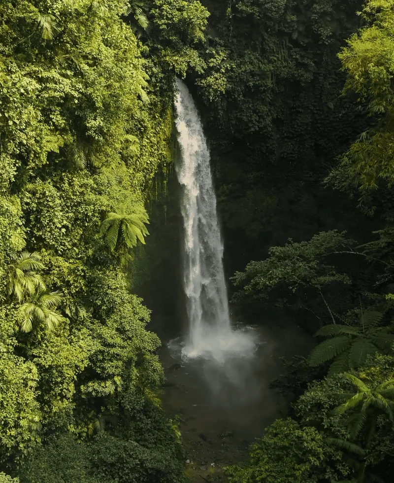 A tall waterfall dropping into a pool in the Bali jungle