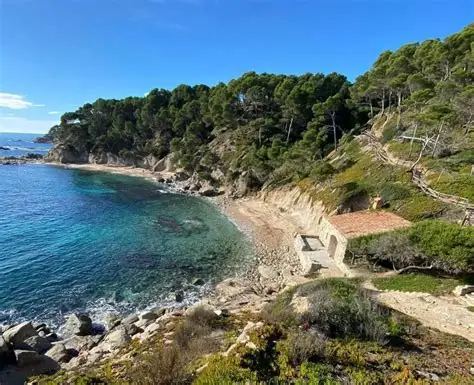 The rocky shoreline and clear shallow water at Cala Estreta
