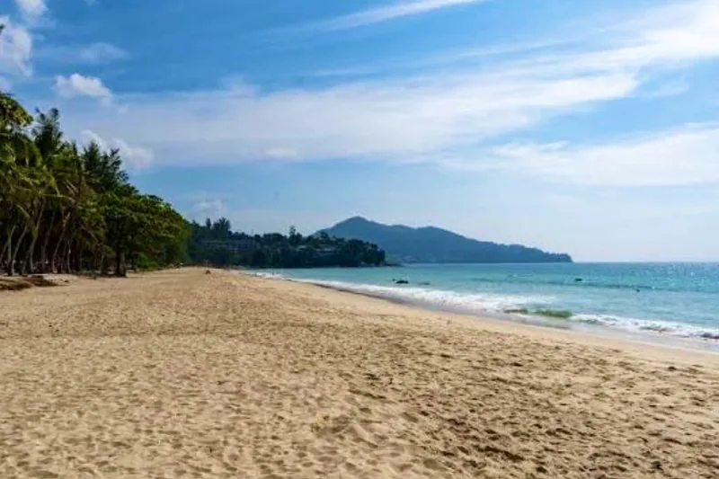 Surin beach from the sand, casuarinas along the shore and the headland to the north