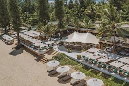 Catch Beach Club on the sand at Bang Tao, umbrellas and daybeds under the pines